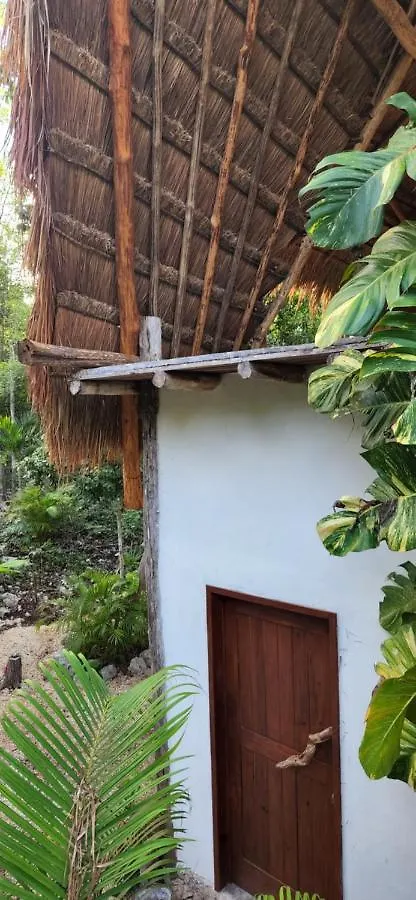 Penzion Selva Roca Tulum 0*,